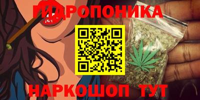 a pvp Чебоксары