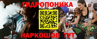 a pvp Чебоксары