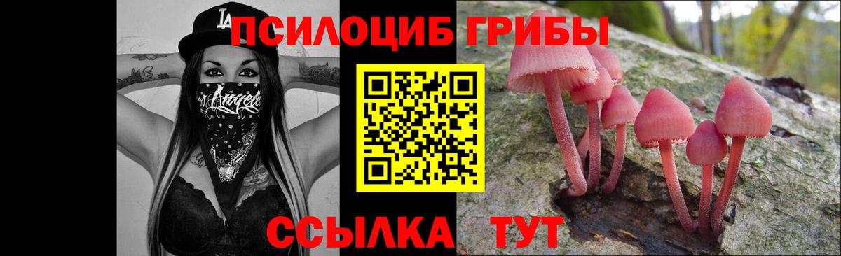 Псилоцибиновые грибы Psilocybine cubensis  Вход с VPN  Дмитров 